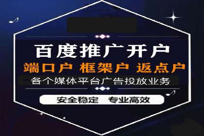 行业领先！某某sem推广公司助力某品牌实现业绩翻倍